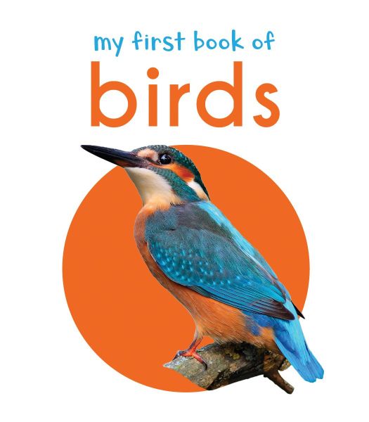 Wonder house My First book of birds
